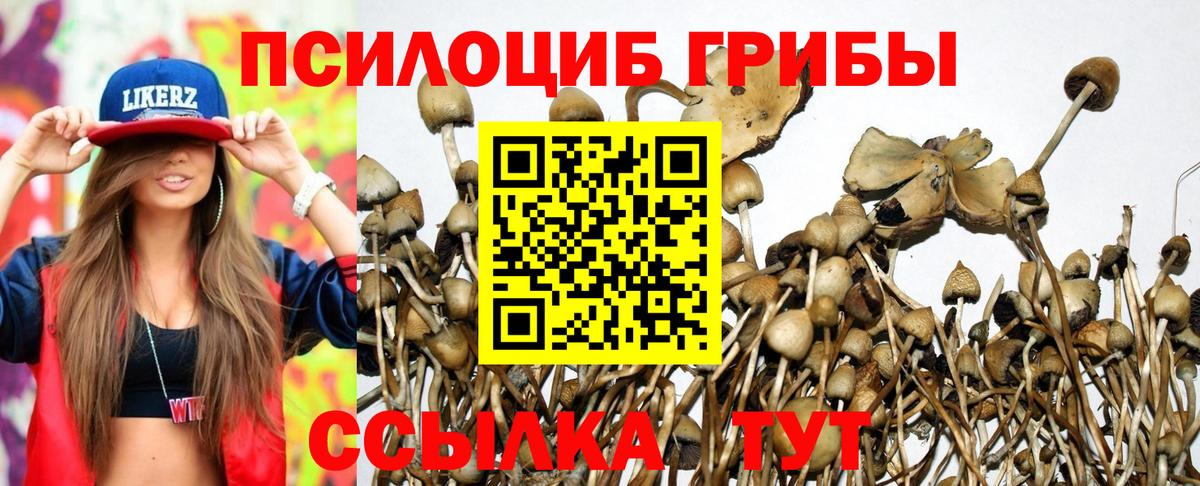 Галлюциногенные грибы GOLDEN TEACHER  Вход с VPN  Ступино 